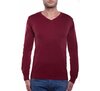 34157-529 DRIED TOMATO M 