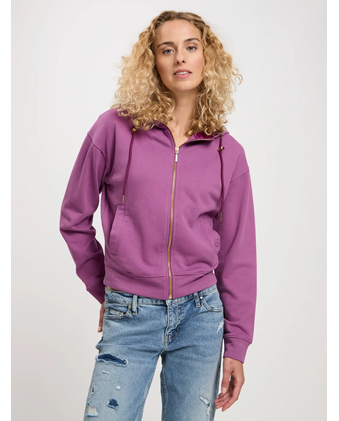 65423-569 PURPLE SAGE S 